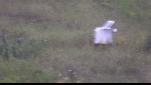 capture-4-23-08-06_07-07-06-38