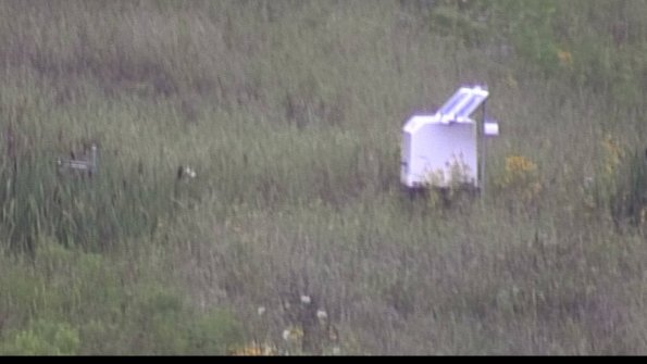 capture-4-23-08-06_07-24-26-83