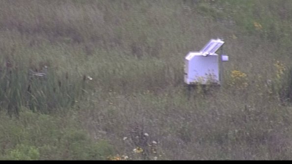 capture-4-23-08-06_07-30-57-13