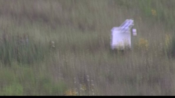 capture-4-23-08-06_07-37-27-18