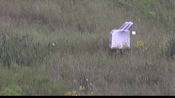 capture-4-23-08-06_07-41-46-87