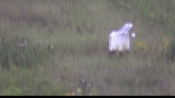 capture-4-23-08-06_08-09-56-90