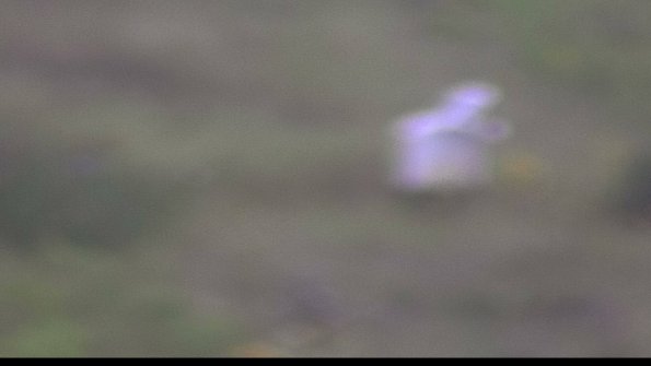 capture-4-23-08-06_08-20-46-49