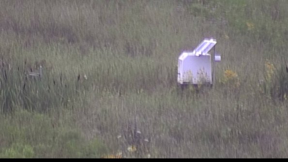 capture-4-23-08-06_08-29-27-18