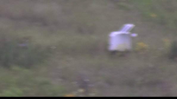 capture-4-23-08-06_09-06-16-50