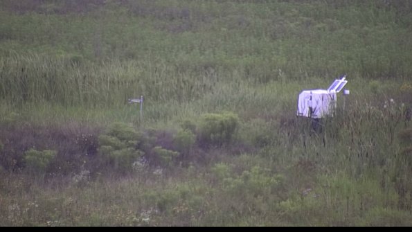 capture-5-23-08-06_07-24-36-04