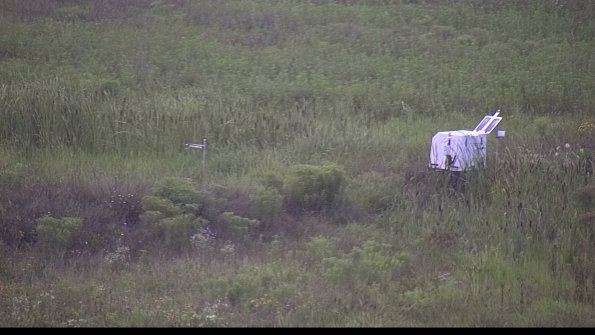 capture-5-23-08-06_07-31-06-30