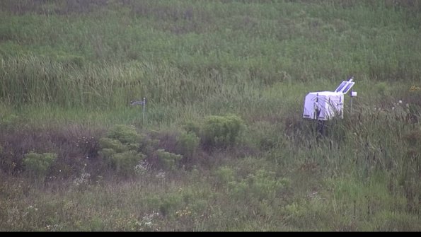 capture-5-23-08-06_07-41-55-55