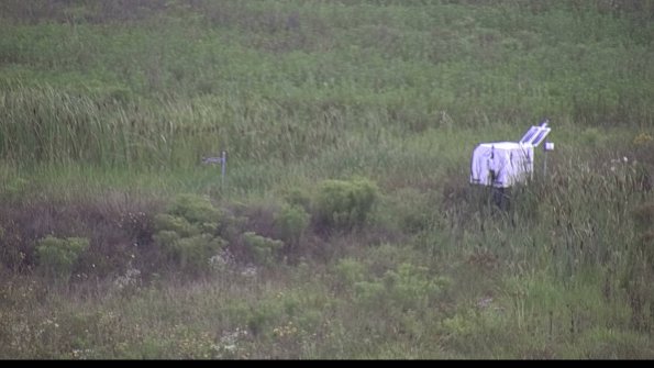 capture-5-23-08-06_07-46-15-38