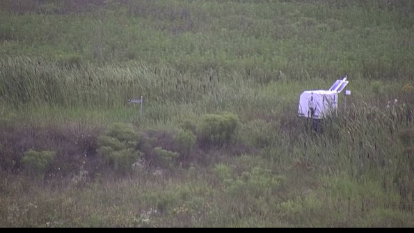 capture-5-23-08-06_07-54-55-76