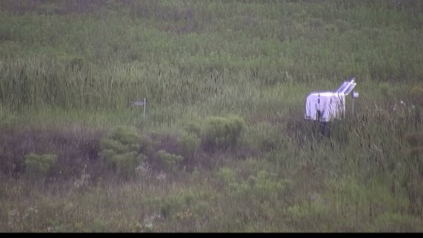 capture-5-23-08-06_08-03-36-22