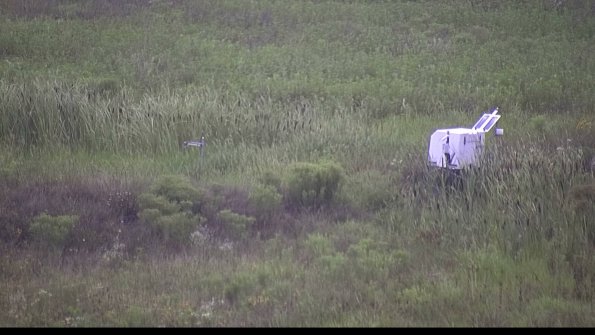 capture-5-23-08-06_08-18-46-03