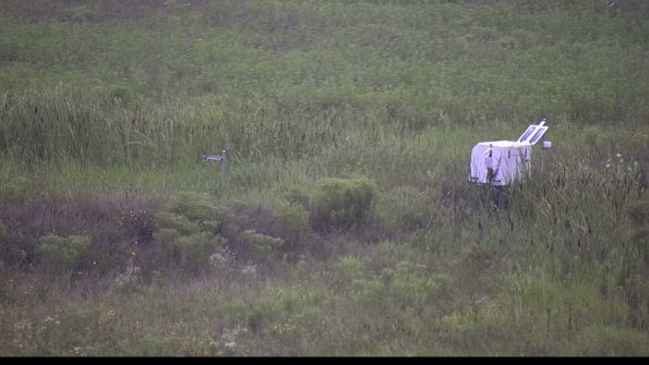 capture-5-23-08-06_08-20-56-37