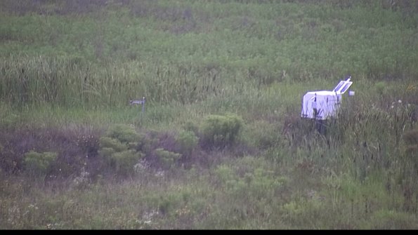 capture-5-23-08-06_08-23-05-59