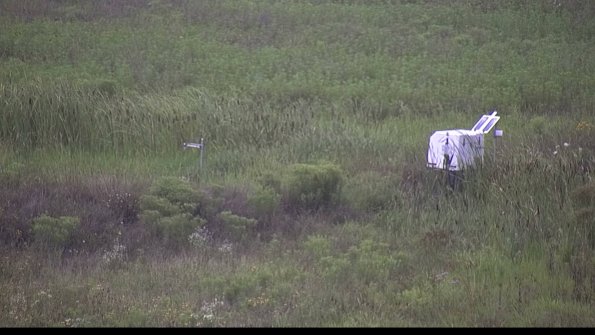 capture-5-23-08-06_08-33-56-08