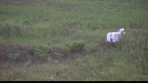 capture-5-23-08-06_08-36-05-51