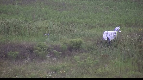 capture-5-23-08-06_08-38-15-91