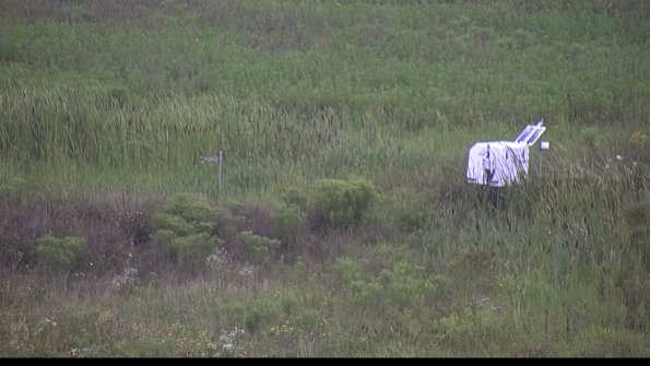 capture-5-23-08-06_08-40-25-57