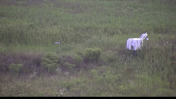 capture-5-23-08-06_08-44-45-60