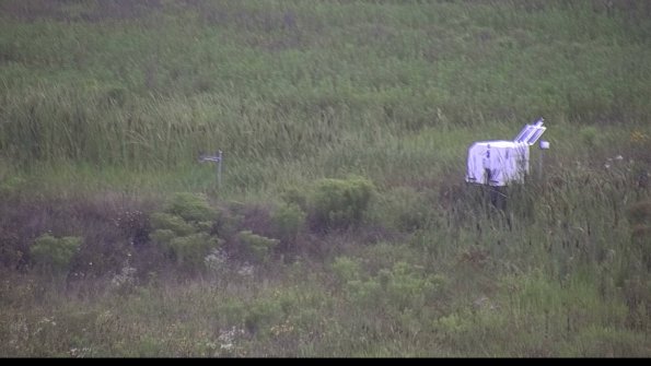 capture-5-23-08-06_08-51-15-66