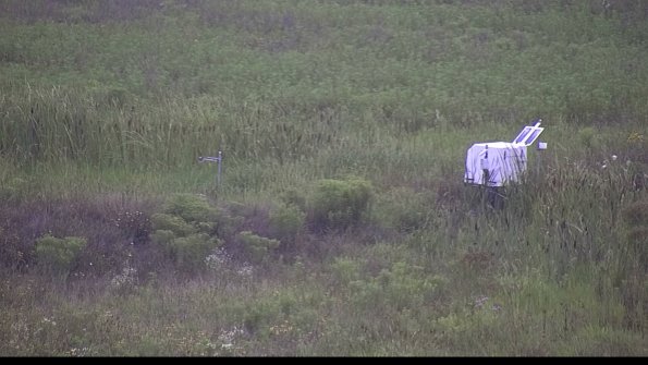 capture-5-23-08-06_08-57-45-55