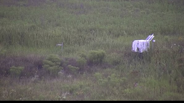 capture-5-23-08-06_08-59-56-18