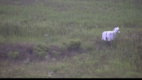 capture-5-23-08-06_09-02-05-41