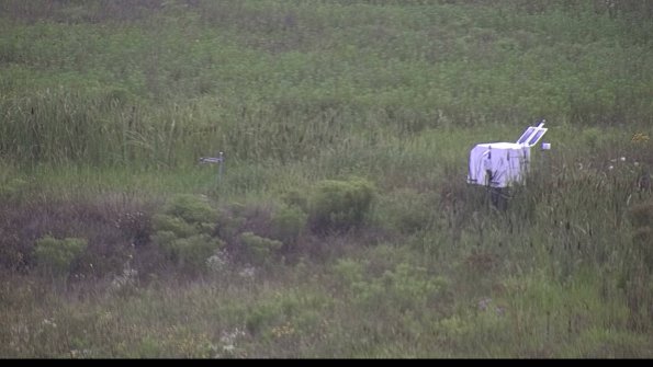 capture-5-23-08-06_09-06-26-11