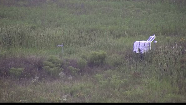 capture-5-23-08-06_09-08-35-61