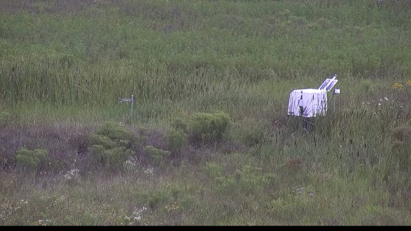 capture-5-23-08-06_11-27-35-06