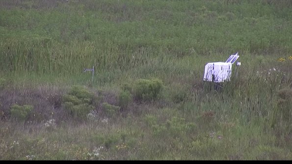 capture-5-23-08-06_11-34-04-55