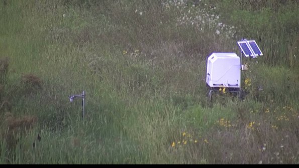 capture-6-23-08-06_08-31-55-59