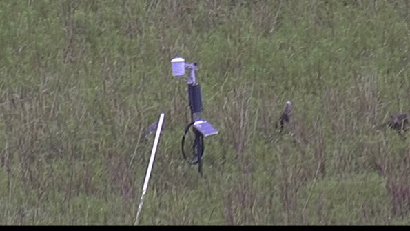 capture-7-23-08-06_11-23-33-55