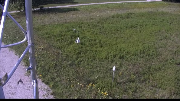 capture-1-23-08-08_10-25-53-69