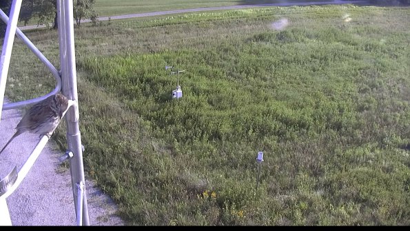 capture-1-23-08-08_18-55-15-82