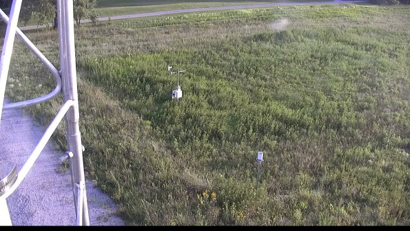 capture-1-23-08-08_19-47-15-95