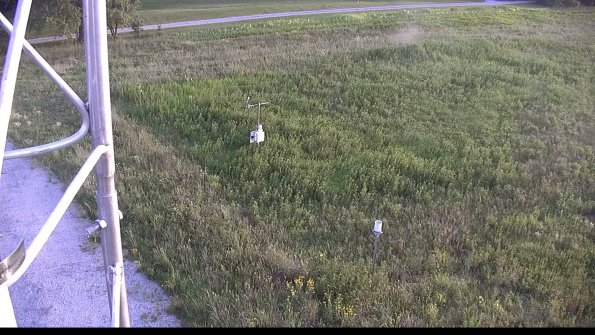 capture-1-23-08-08_20-04-36-14