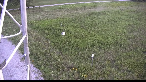 capture-1-23-08-08_20-17-36-15