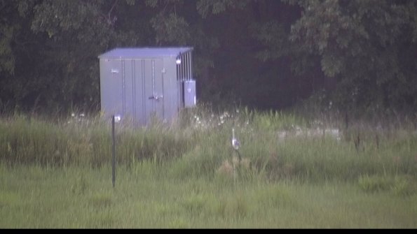 capture-2-23-08-08_07-19-47-20