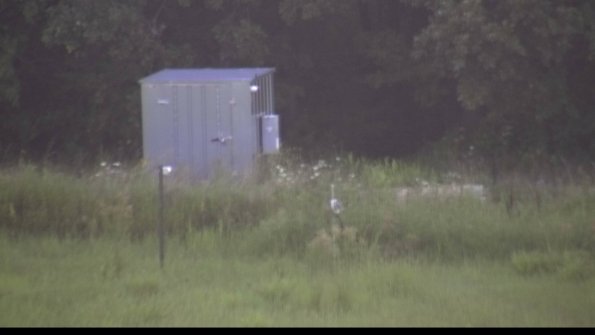 capture-2-23-08-08_07-37-06-81