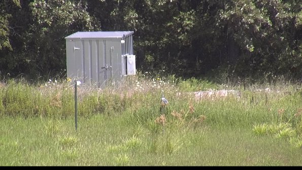 capture-2-23-08-08_12-55-01-58