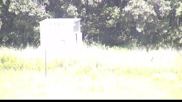 capture-2-23-08-08_13-14-32-06