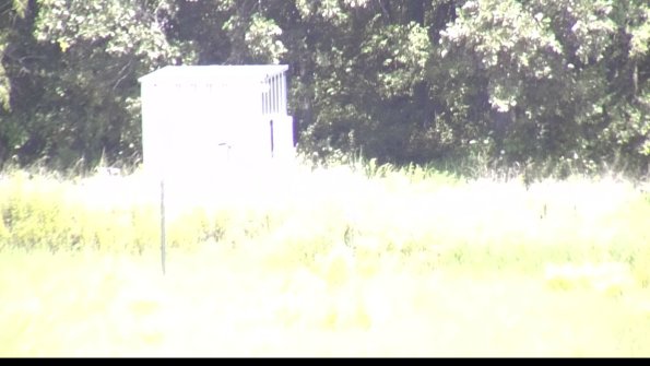 capture-2-23-08-08_13-16-41-65