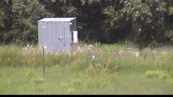 capture-2-23-08-08_14-52-02-57