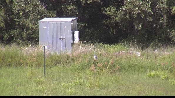 capture-2-23-08-08_15-00-42-59