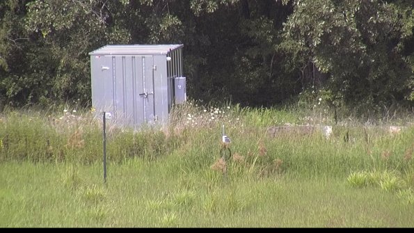 capture-2-23-08-08_16-01-22-71