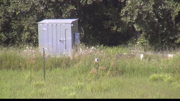 capture-2-23-08-08_16-16-32-56