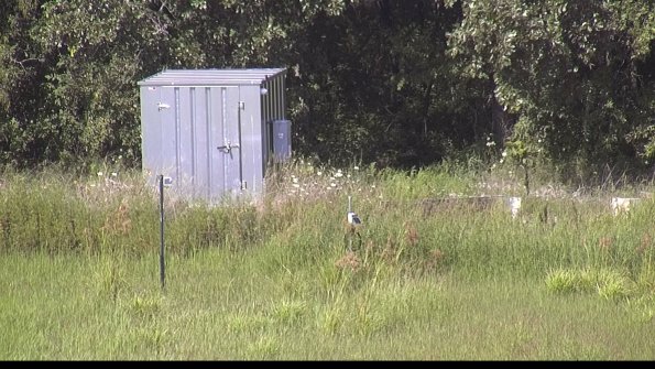 capture-2-23-08-08_16-29-32-71