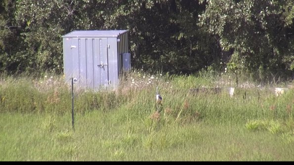 capture-2-23-08-08_16-42-32-59