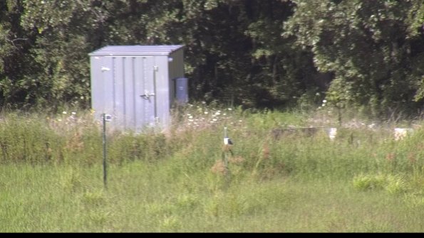 capture-2-23-08-08_16-55-32-67